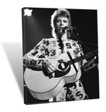 Canvas - David Bowie