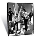 Canvas - The Who