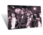 Canvas - New York Dolls