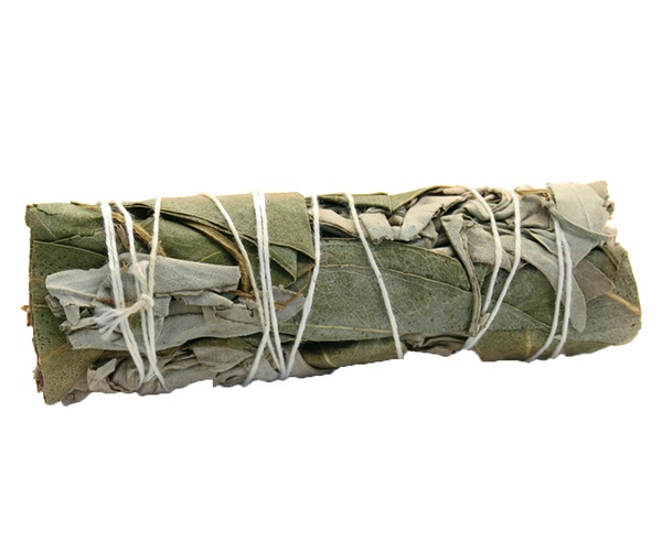 Svazek - Šalvěj bílá a eukalyptus - 10 cm