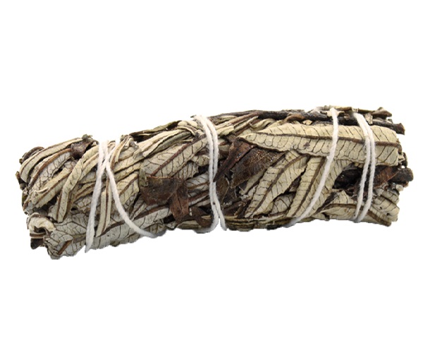 Svazek - Yerba Santa - 10 cm