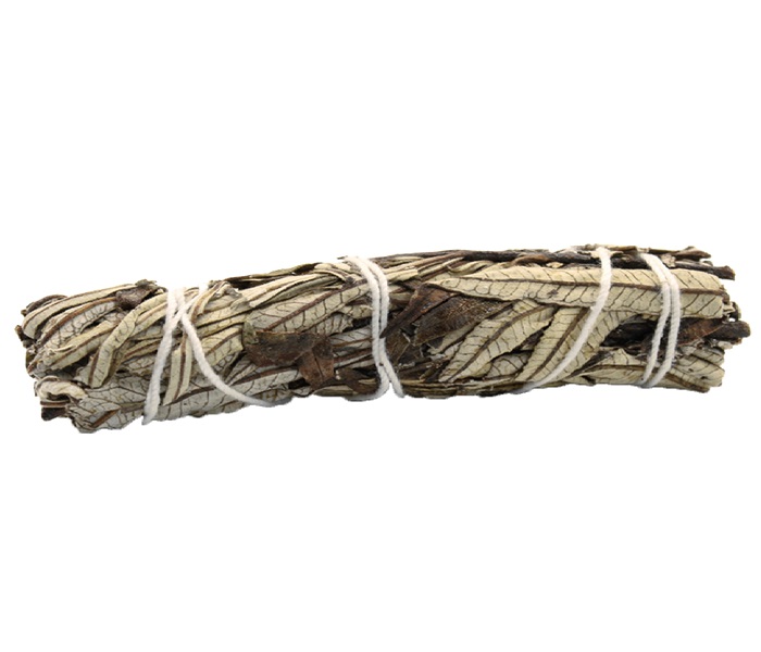 Svazek - Yerba Santa - 15 cm