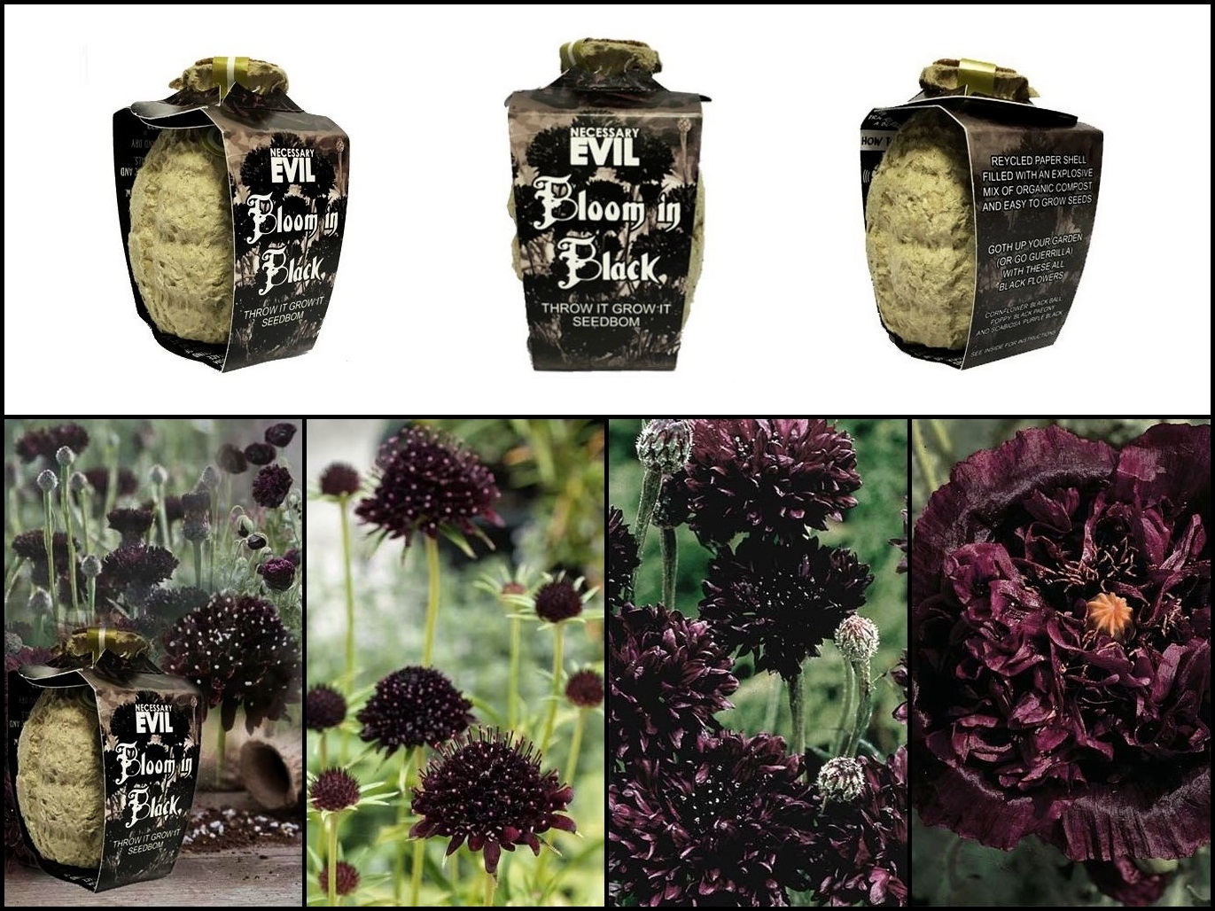 Gotické květiny - Bloom In Black