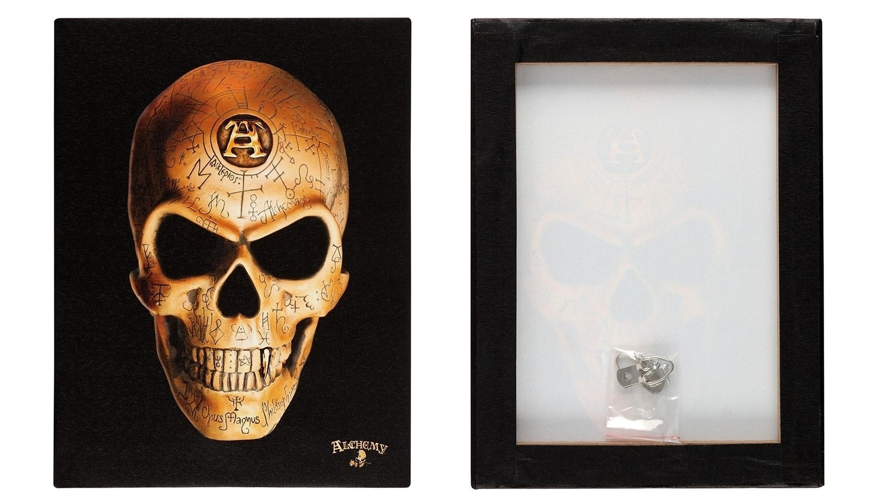 Canvas - Omega Skull