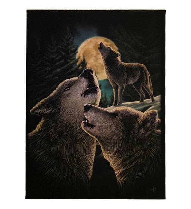 Canvas - Wolf Song