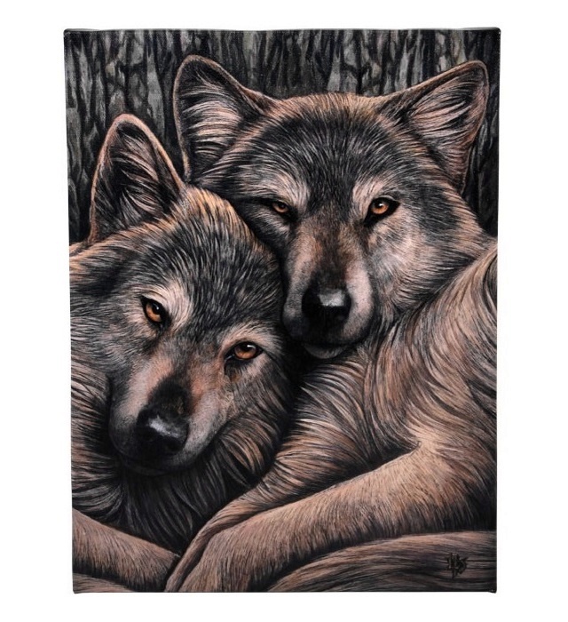 Canvas - Loyal Companions