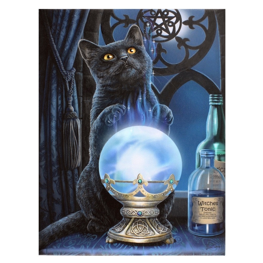 Canvas - The Witches Apprentice