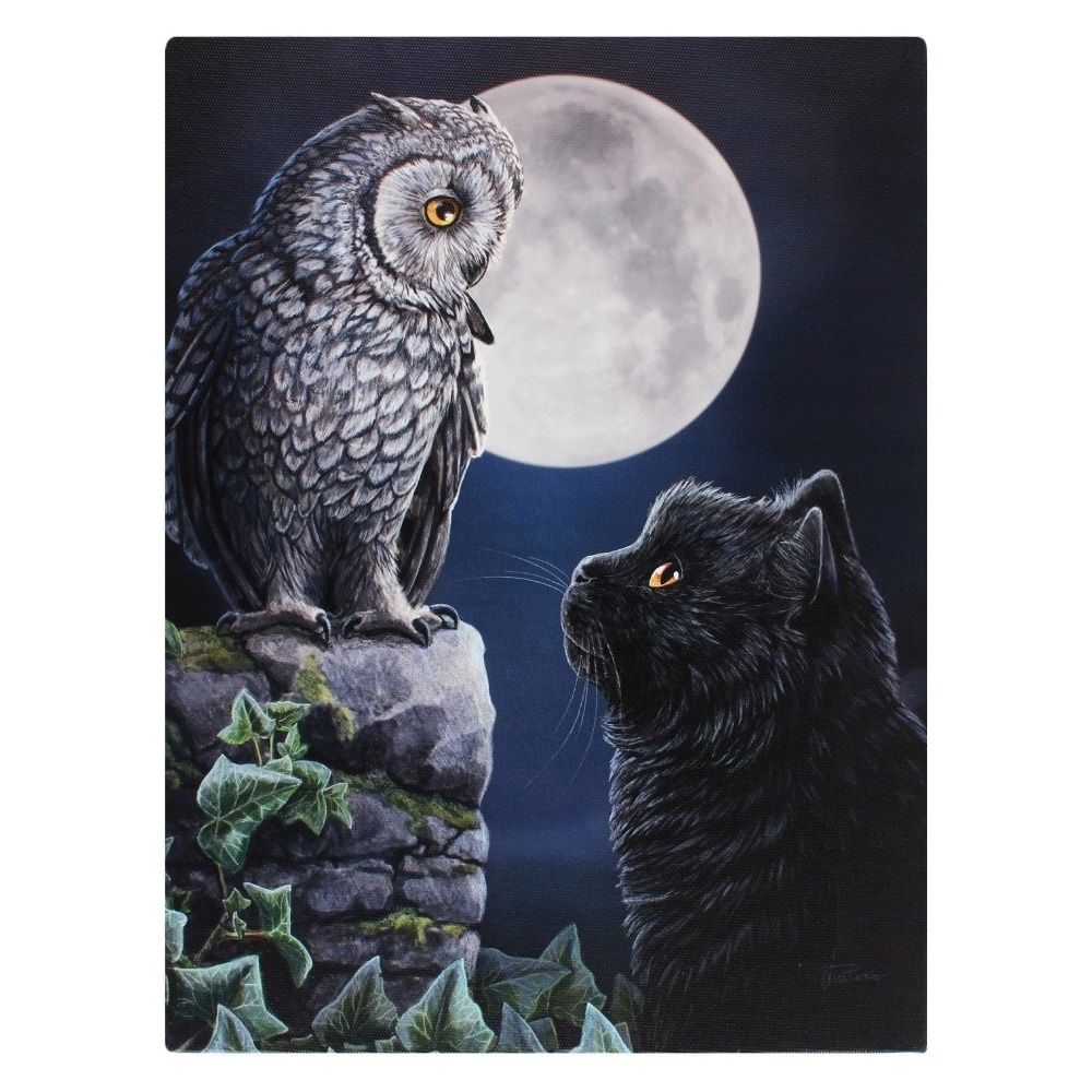 Canvas - Purrfect Wisdom