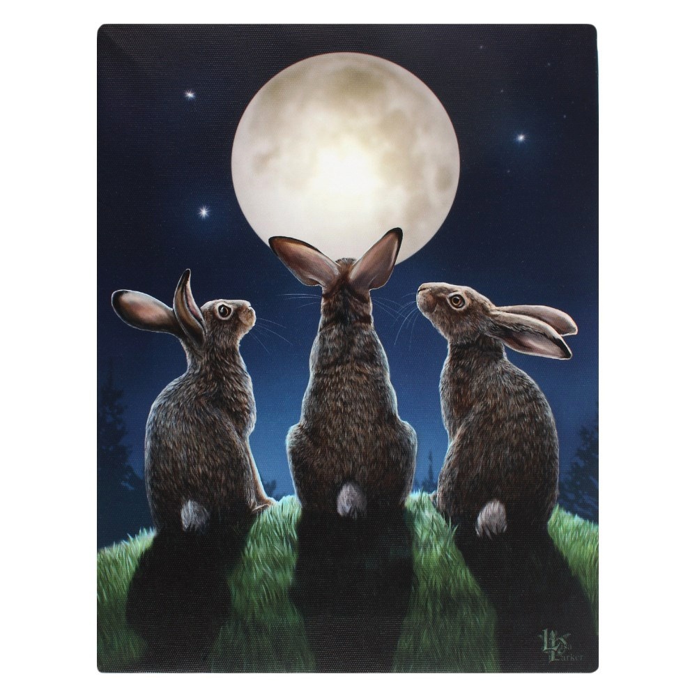Canvas - Moon Shadows