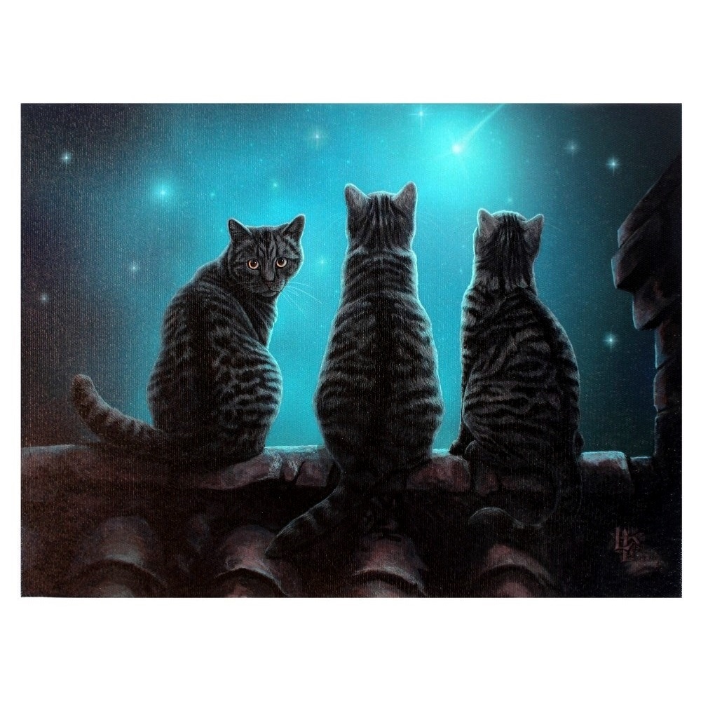 Canvas - Wish Upon A Star