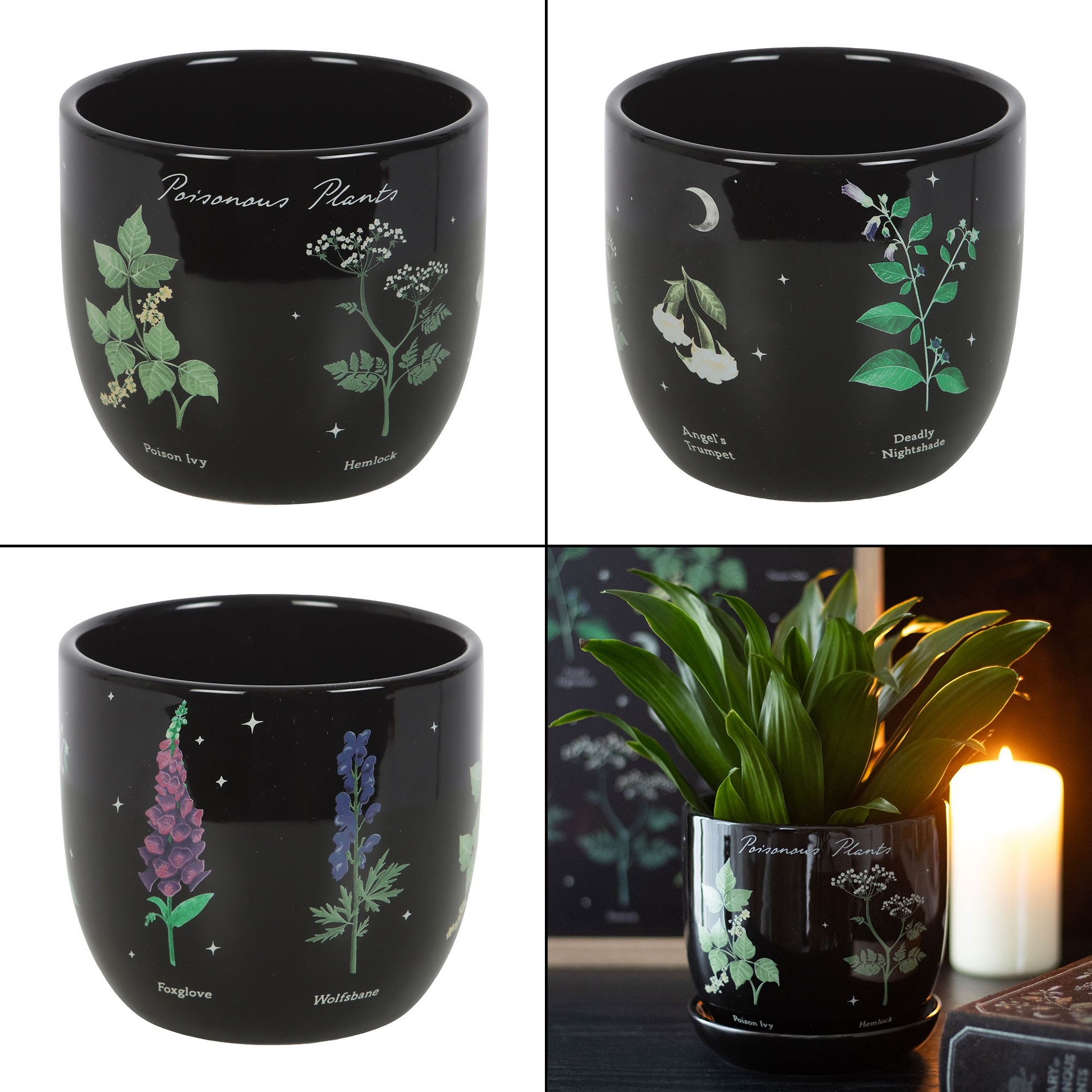 Květináč - Poisonous Plants