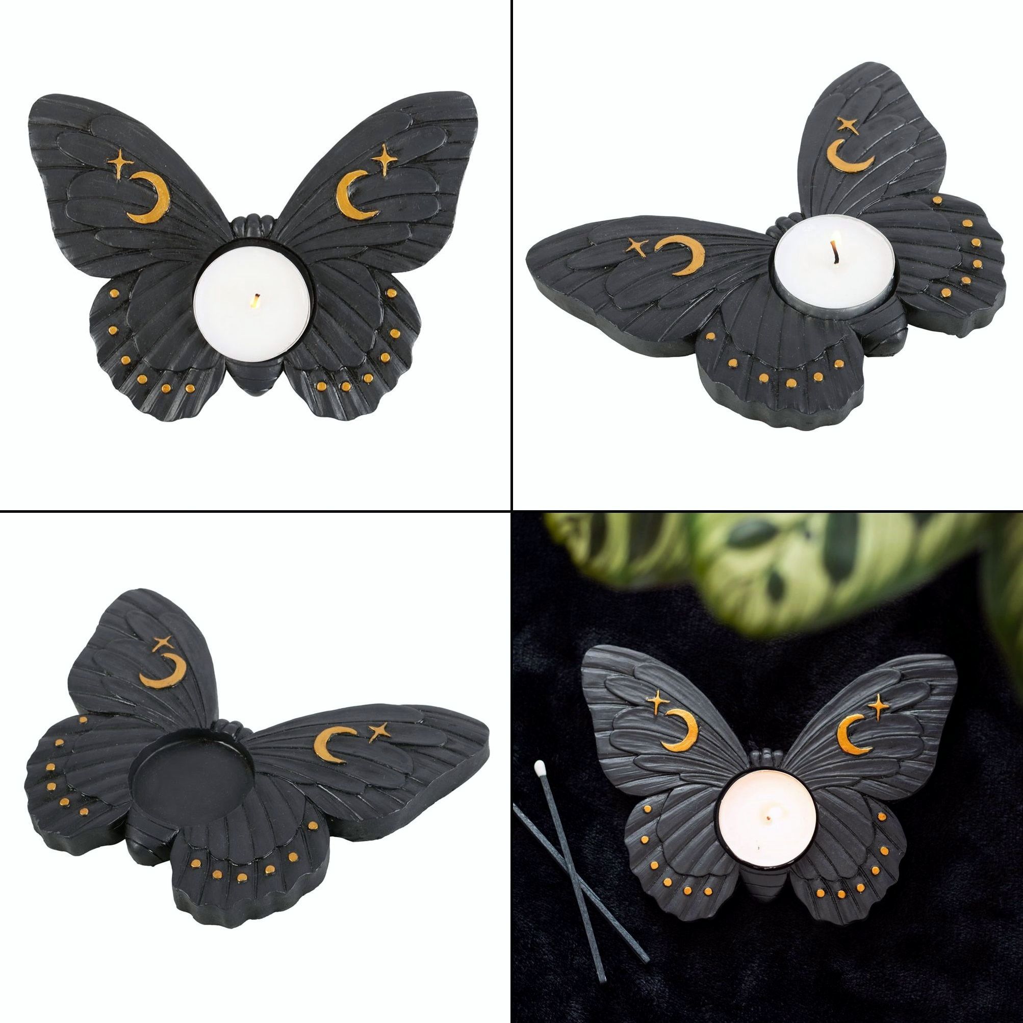 Svícen - Black Moth