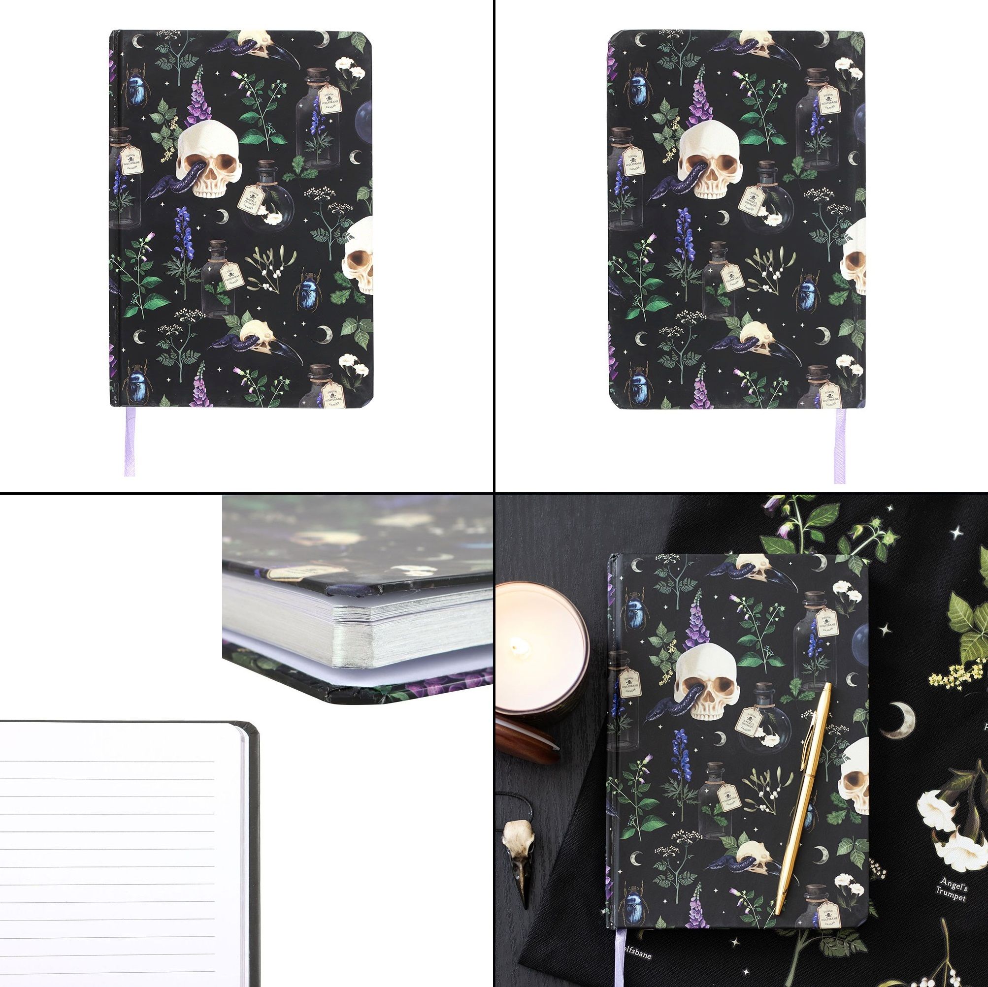 Zápisník - Venom And Vines