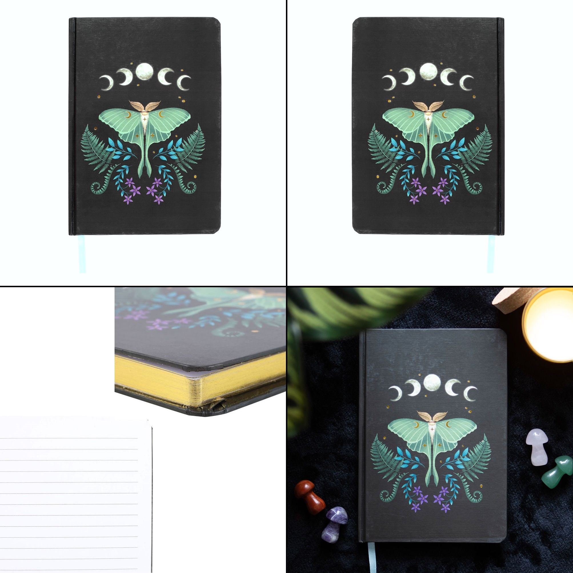 Zápisník - Luna Moth